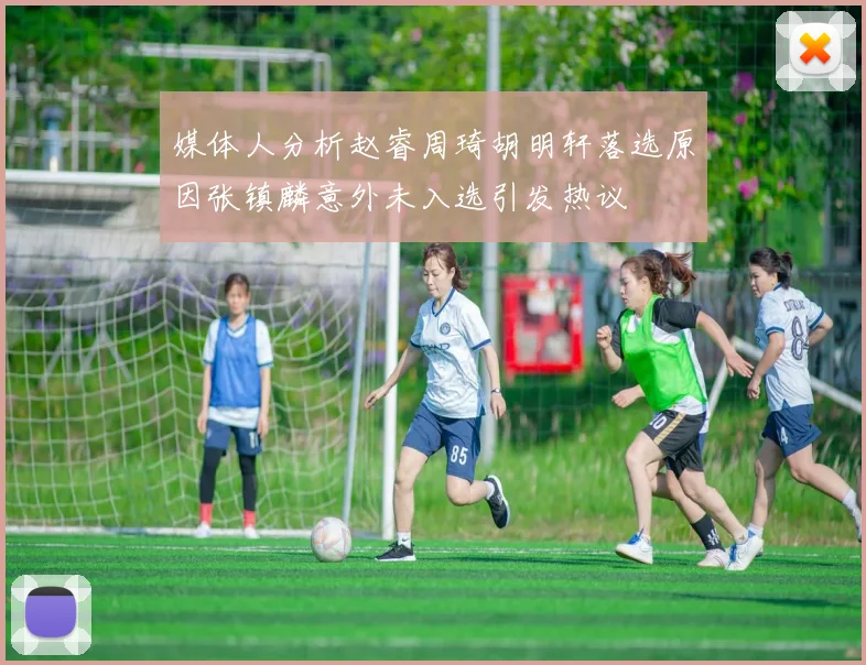 媒体人分析赵睿周琦胡明轩落选原因张镇麟意外未入选引发热议