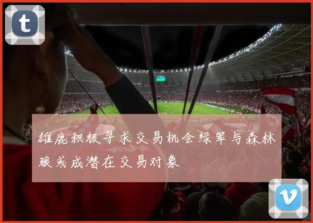 雄鹿积极寻求交易机会绿军与森林狼或成潜在交易对象