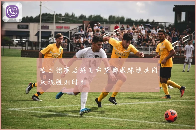 哈兰德赛后感言希望挪威球迷共同庆祝胜利时刻